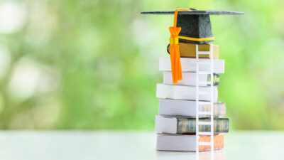 advanced learner loan alternatives