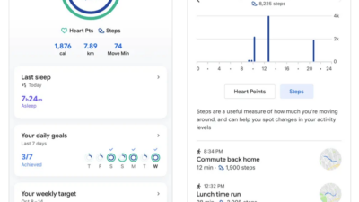 google fit homepage